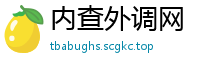 内查外调网
